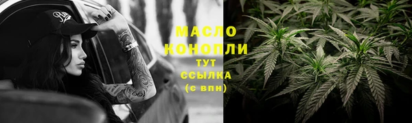 твердый Верхний Тагил