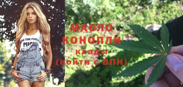твердый Верхний Тагил