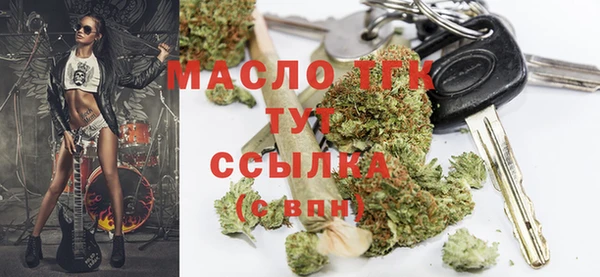твердый Верхний Тагил